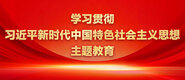 男生操女生的逼视频学习贯彻习近平新时代中国特色社会主义思想主题教育_fororder_ad-371X160(2)